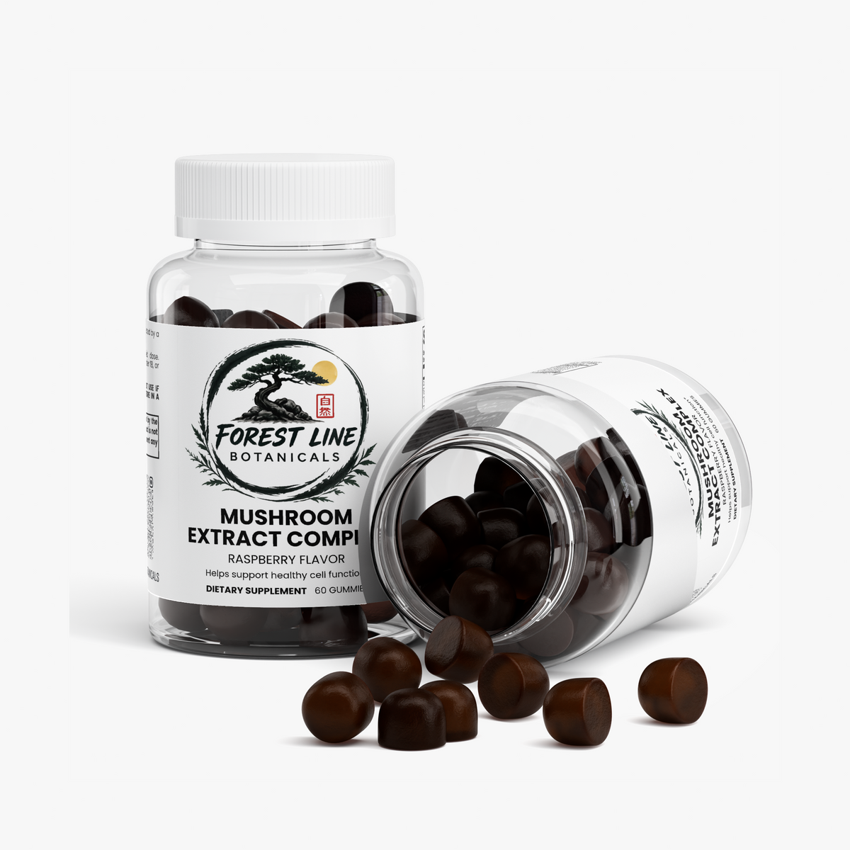 Mushroom Extract Complex