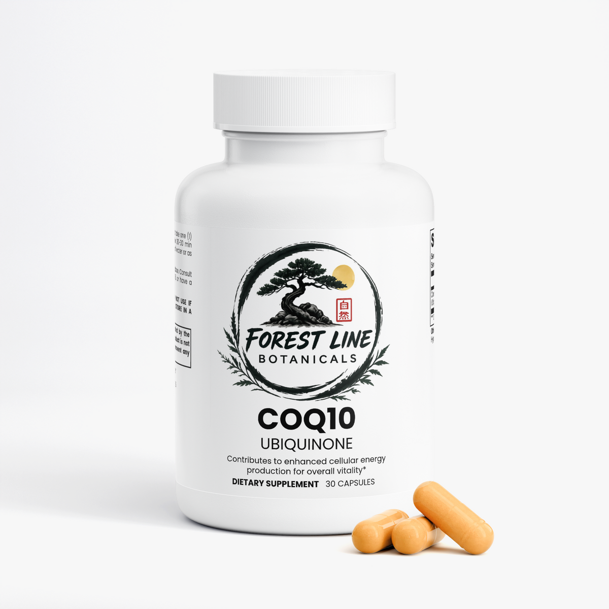 CoQ10 Ubiquinone