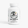 Gut Health