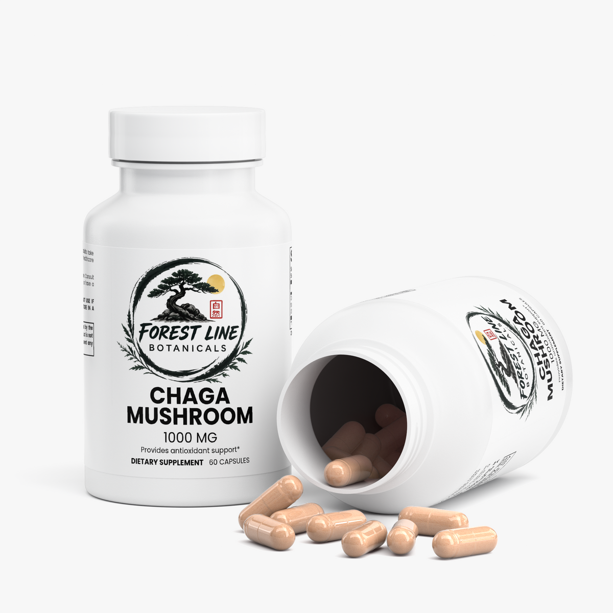 Chaga Mushroom