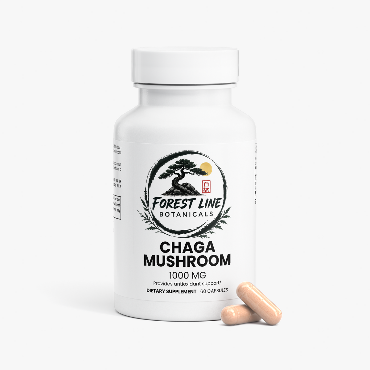 Chaga Mushroom